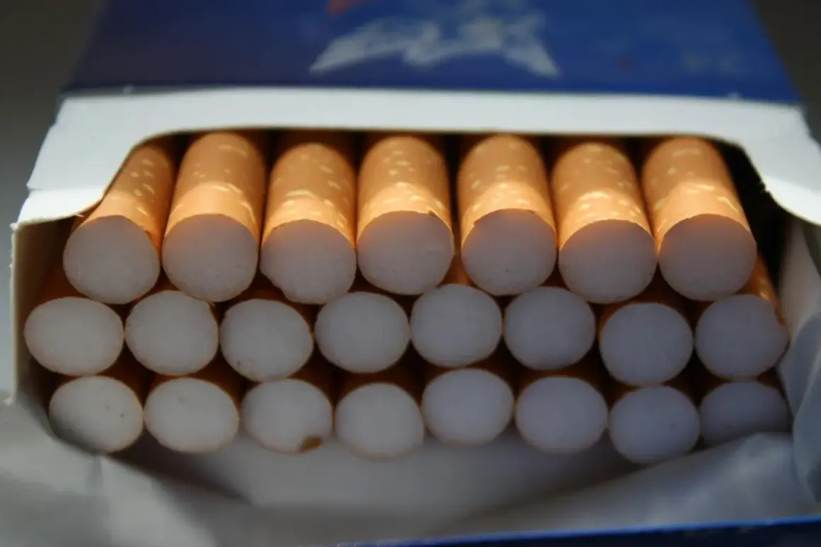 En cigarettpaket med 20 cigaretter, ordnade i två rader.