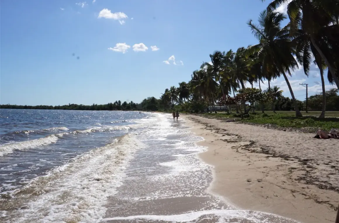 Piękna plaża z palmami, fale obmywają brzeg. Idealne miejsce, by zapytać: Kuba, kiedy jechać?