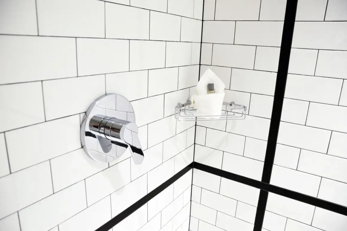 Coin de douche moderne avec robinetterie chromée et porte-savon. Idéal pour nettoyer la faience salle de bain.