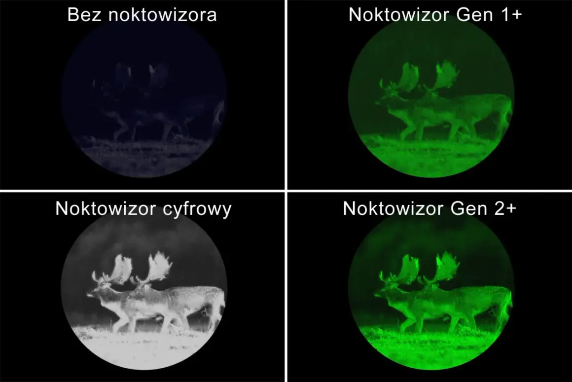 Sarny nocą: bez noktowizora ledwo widoczne, cyfrowy daje czarno-biały obraz, a noktowizory Gen 1+ i Gen 2+ pokazują je w zieleni, jak widać przez noktowizor.