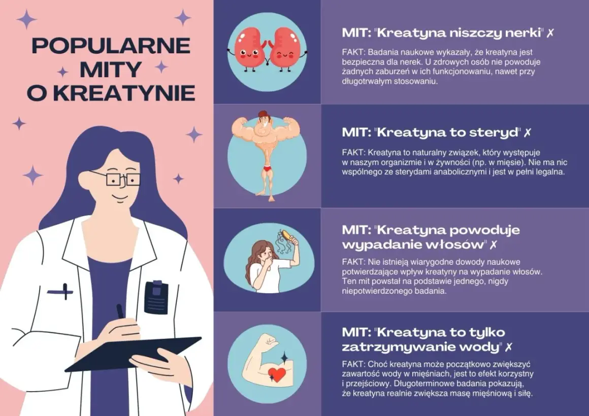 Kreatyna na co? Grafika obala mity o kreatynie: nie niszczy nerek, nie jest sterydem, nie powoduje wypadania włosów ani tylko zatrzymywania wody.