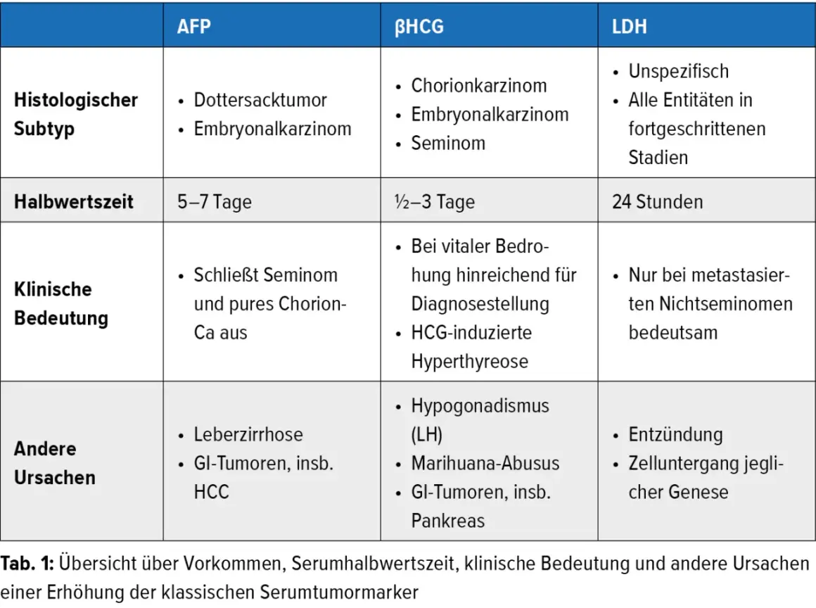 Übersichtliche tumormarker-werte tabelle mit AFP, βHCG und LDH. Zeigt Subtypen, Halbwertszeit, klinische Bedeutung und andere Ursachen.
