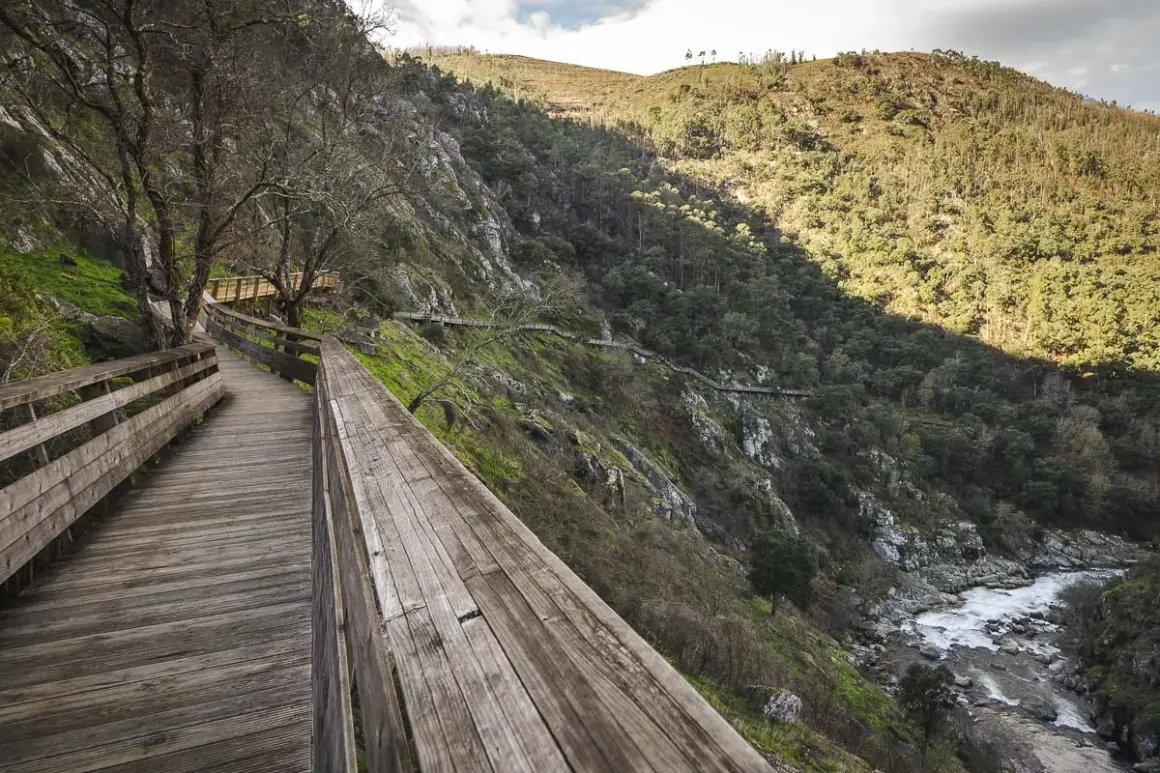 Senderos de madera serpentean por la ladera verde junto a un río. Fotos de los pasadizos del Paiva.