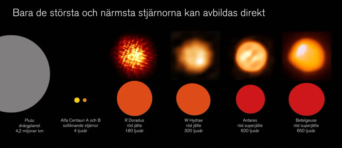 Jämförelse av stjärnor och dvärgplaneten Pluto. Vår egen sol är en medelstor stjärna, mindre än de flesta röda jättar och superjättar som visas.