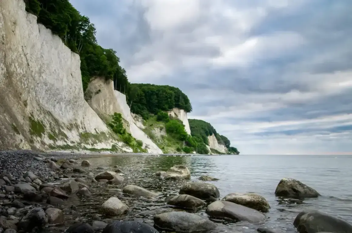 Majestatyczne, białe klify Rugii wznoszą się nad kamienistą plażą i spokojnym morzem.