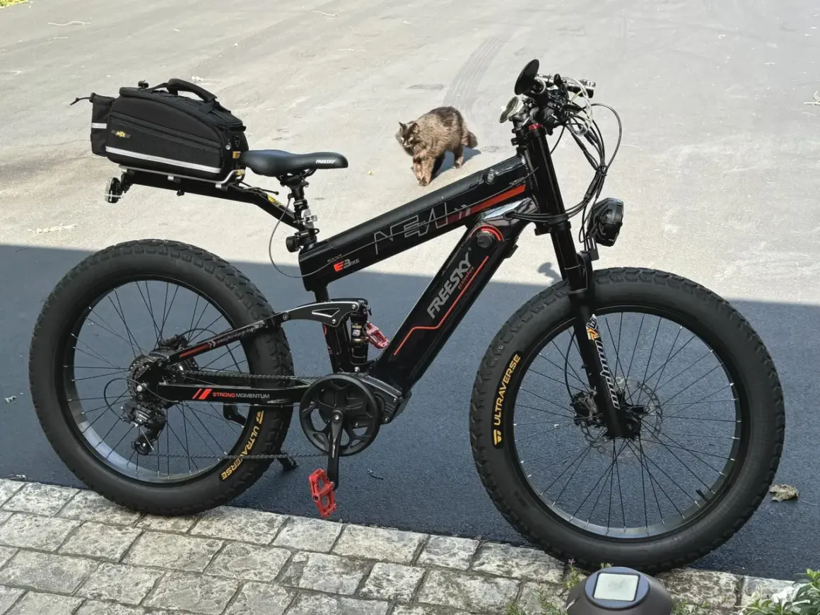 Zwarte elektrische fiets met dikke banden en een tas achterop. Een kat loopt langs de fiets, mogelijk door een kabelbreuk.