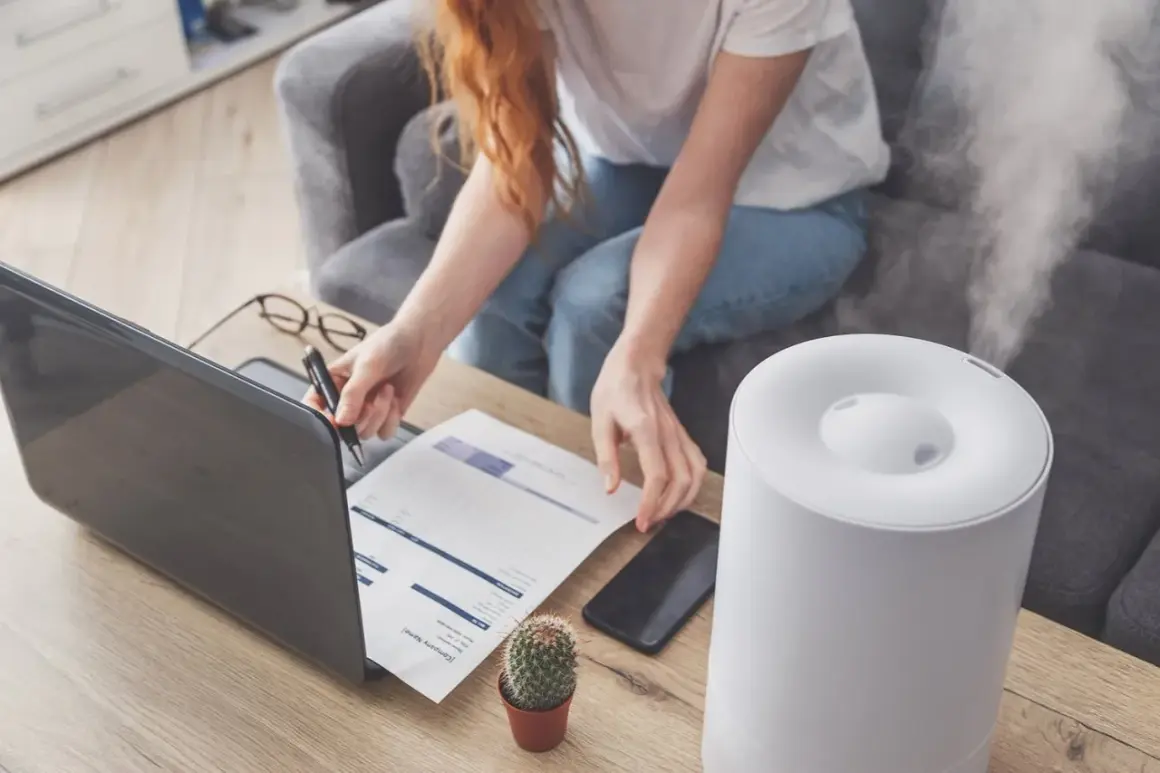 Donna lavora al computer con umidificatore attivo. Soluzione per sacchetti anti umidità fai da te.