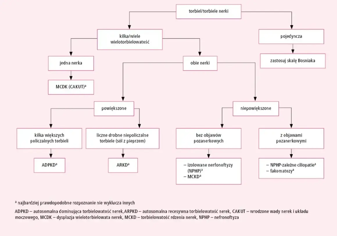 Schemat diagnostyczny torbieli/torbieli nerek. Rozróżnia się torbiele pojedyncze i mnogie, z objawami lub bez.