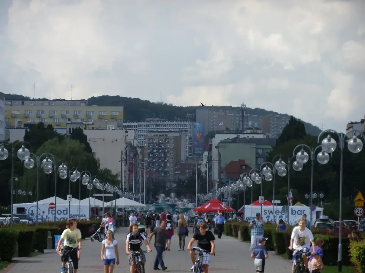 Jakie muszle znajdziesz w Bałtyku? Przewodnik po plażowych skarbach