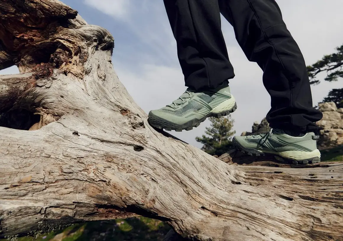 Zielone buty trekkingowe na pniu drzewa. Idealne, by wybrać się na wędrówkę po górach.