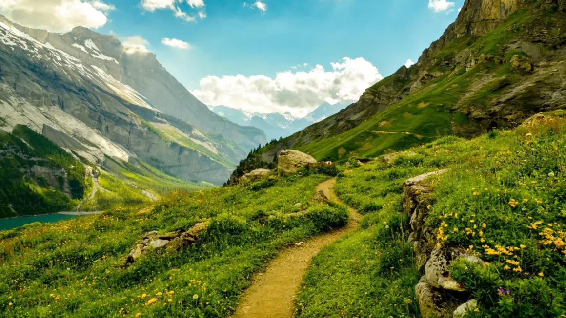 Un sendero serpentea por un prado alpino lleno de flores amarillas, con imponentes montañas nevadas al fondo. ¡Perfecto para rutas en Guadalajara!