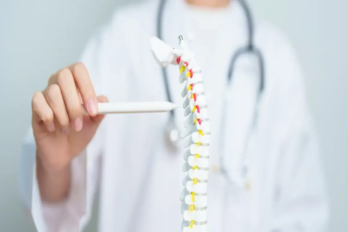 Medico indica modello colonna vertebrale, evidenziando possibile frattura vertebra D12.