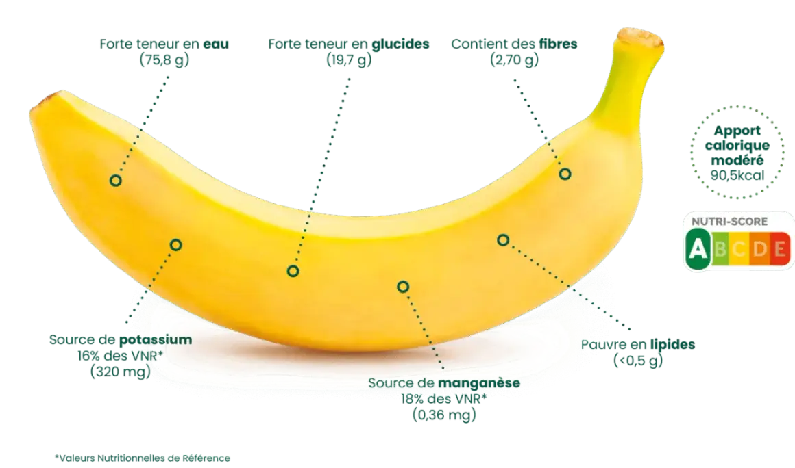 Banane : apport calorique modéré (90,5 kcal), riche en eau, glucides, fibres, potassium et manganèse. Faible en lipides. Nutri-score A.