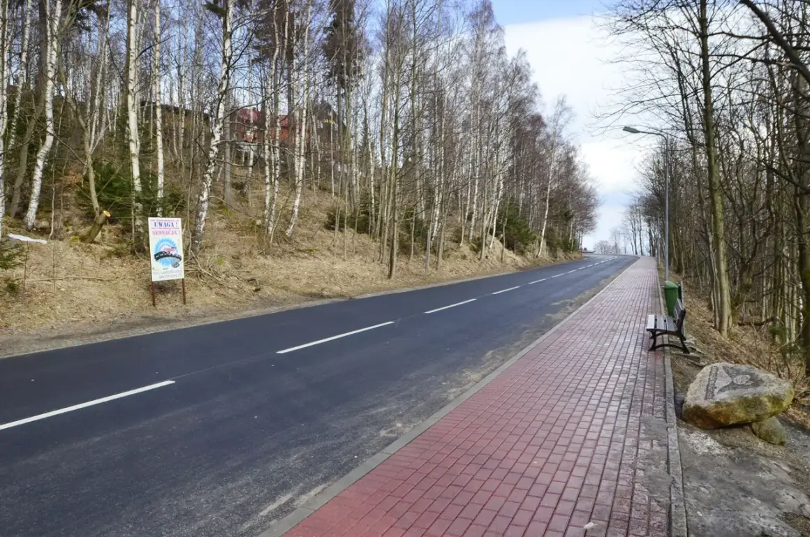 Droga w lesie, z tablicą "Uwaga! Sensacja!", sugerującą miejsce anomalii grawitacyjnej. Po prawej chodnik i ławka.