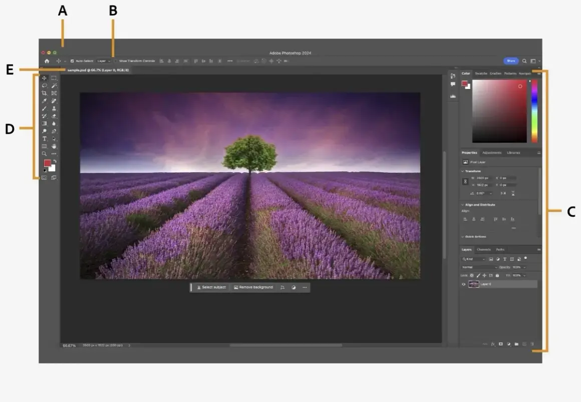 Ile waży Photoshop? Sprawdź wymagania dyskowe programu