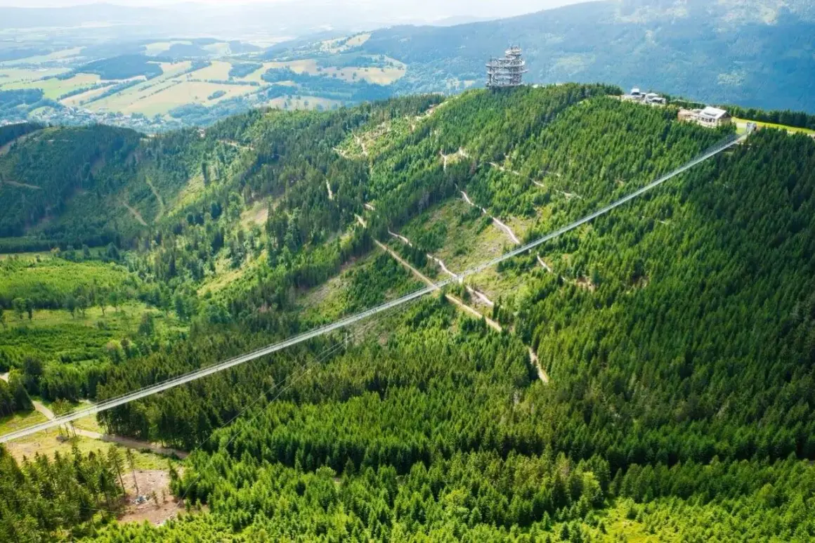 Długi, wąski sky bridge przecina gęsty, zielony las na zboczu góry. Na szczycie widać wieżę widokową.