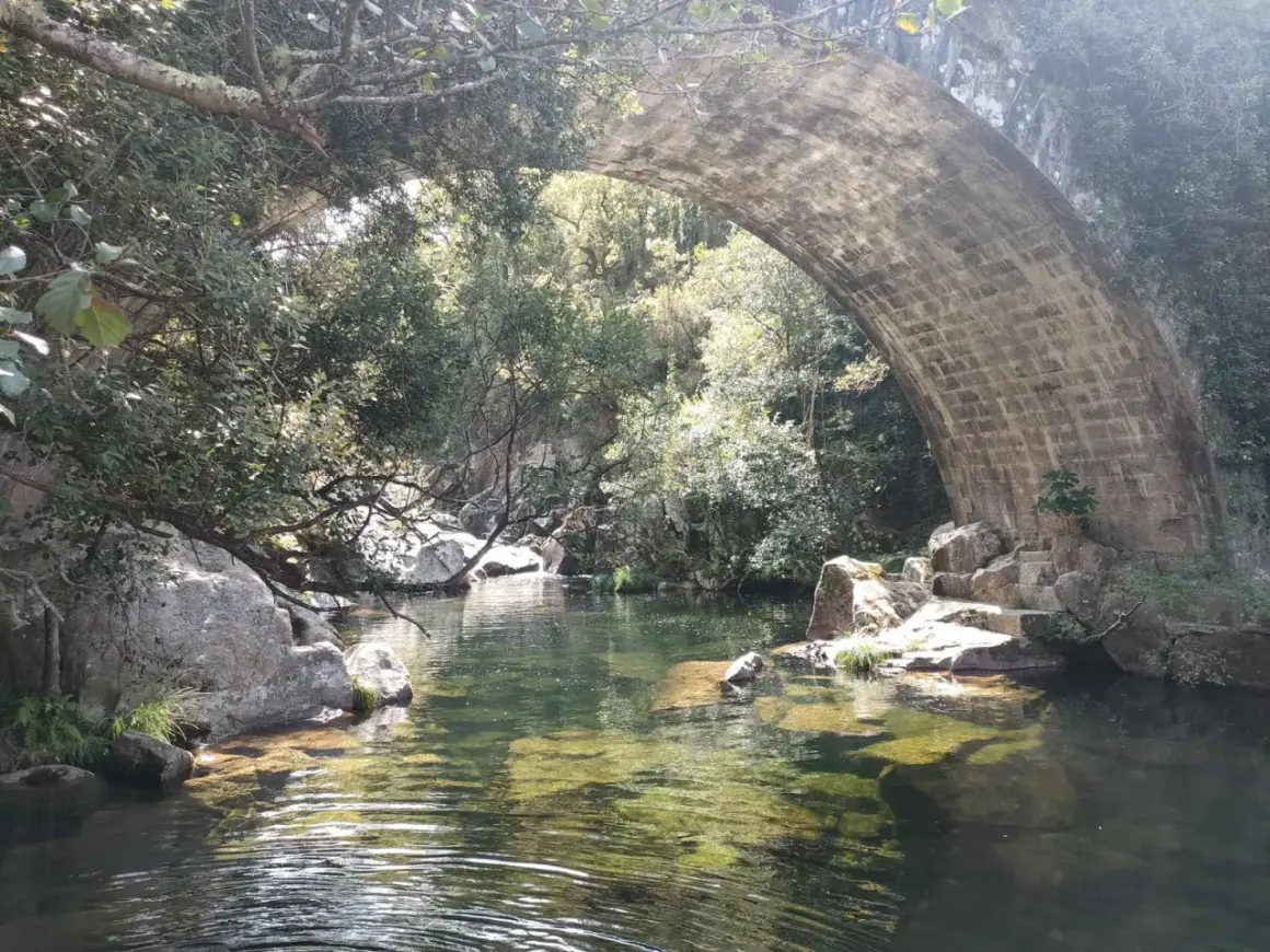 Agua cristalina bajo un puente de piedra en la playa fluvial Maceira, rodeada de vegetación exuberante y rocas.