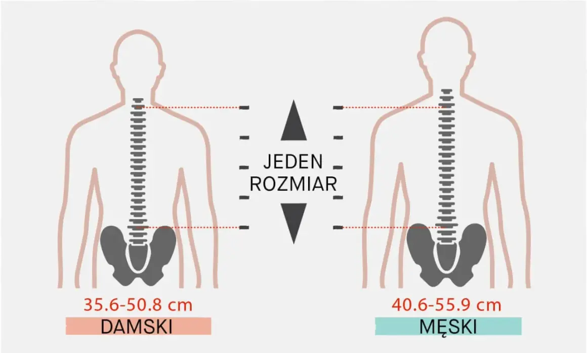 Ilustracja pokazuje, jak dobrać plecak do wzrostu, porównując wymiary tułowia damskiego (35.6-50.8 cm) i męskiego (40.6-55.9 cm).