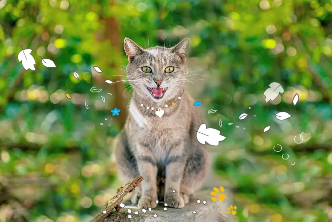 Un chat tigré, la bouche ouverte, semble rire aux éclats, entouré de feuilles stylisées et de fleurs bleues.