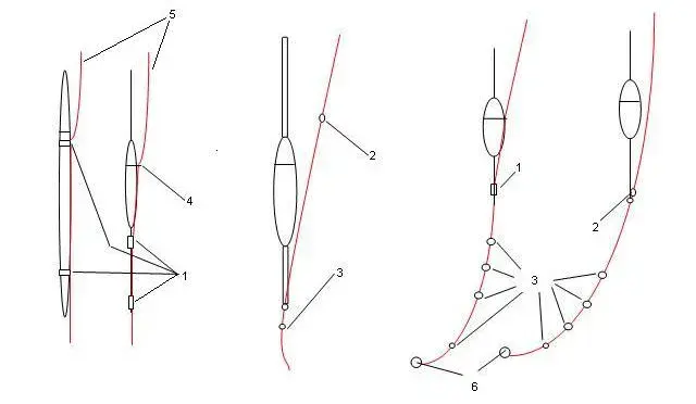 Spławik stały czy przelotowy? Decyzja, która zwiększy brania