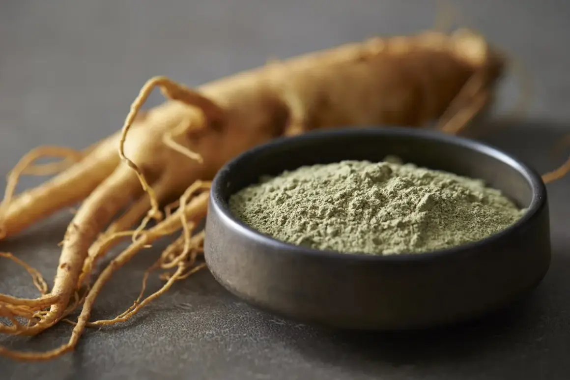 Radice di ginseng essiccata e polvere finissima in una ciotola, per capire ginseng come è fatto.