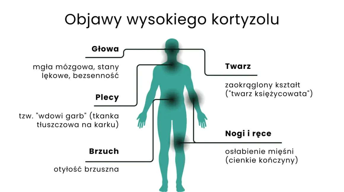 Wysoki kortyzol objawia się mgłą mózgową, otyłością brzuszną, "twarzą księżycowatą" i garbkiem tłuszczowym na karku.