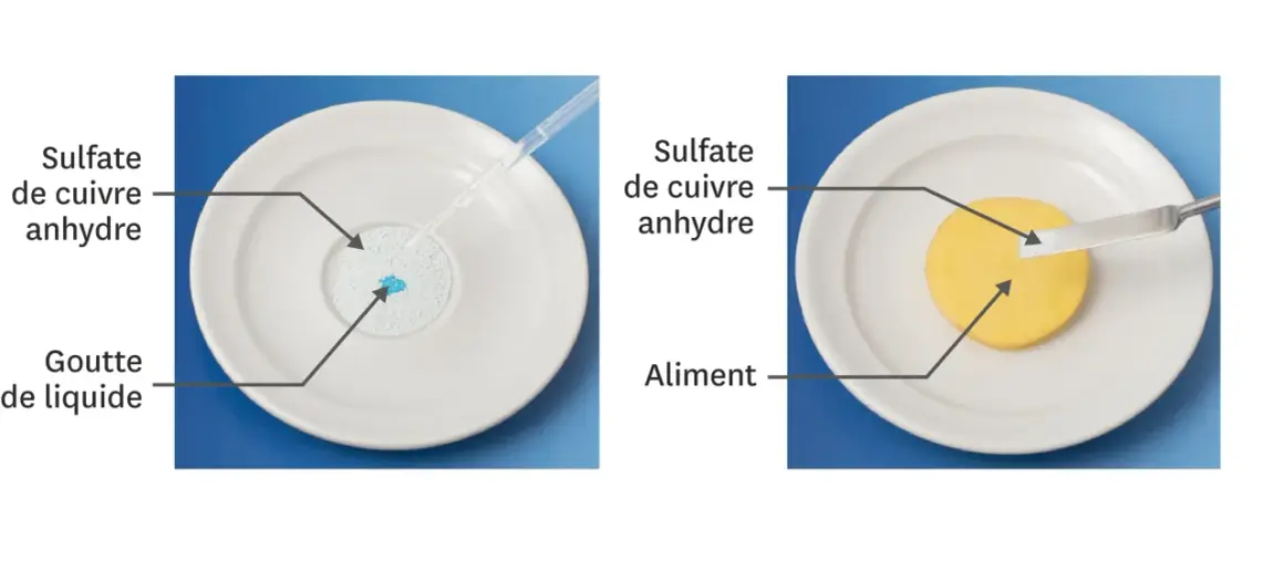 Sulfate de cuivre anhydre réagit avec un liquide, montrant le danger potentiel pour la santé. Une autre image montre le sulfate de cuivre sur un aliment.