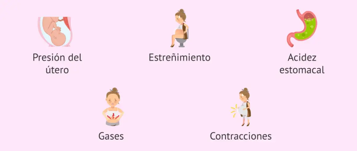 Ilustraciones de síntomas comunes del embarazo: presión uterina, estreñimiento, acidez, gases y contracciones. El dolor es parte de la experiencia.