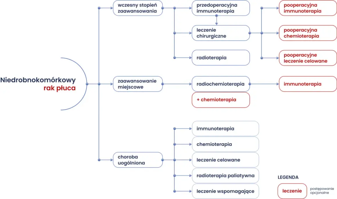 Schemat leczenia niedrobnokomórkowego raka płuca, uwzględniający różne etapy i metody, od immunoterapii po radioterapię, wpływające na długość życia.