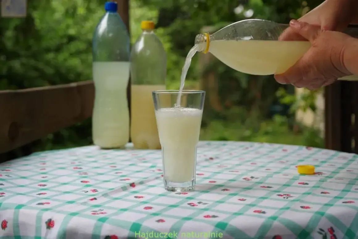 Domowy przepis na piwo imbirowe. Jasny napój nalewany z butelki do szklanki na tle zieleni.