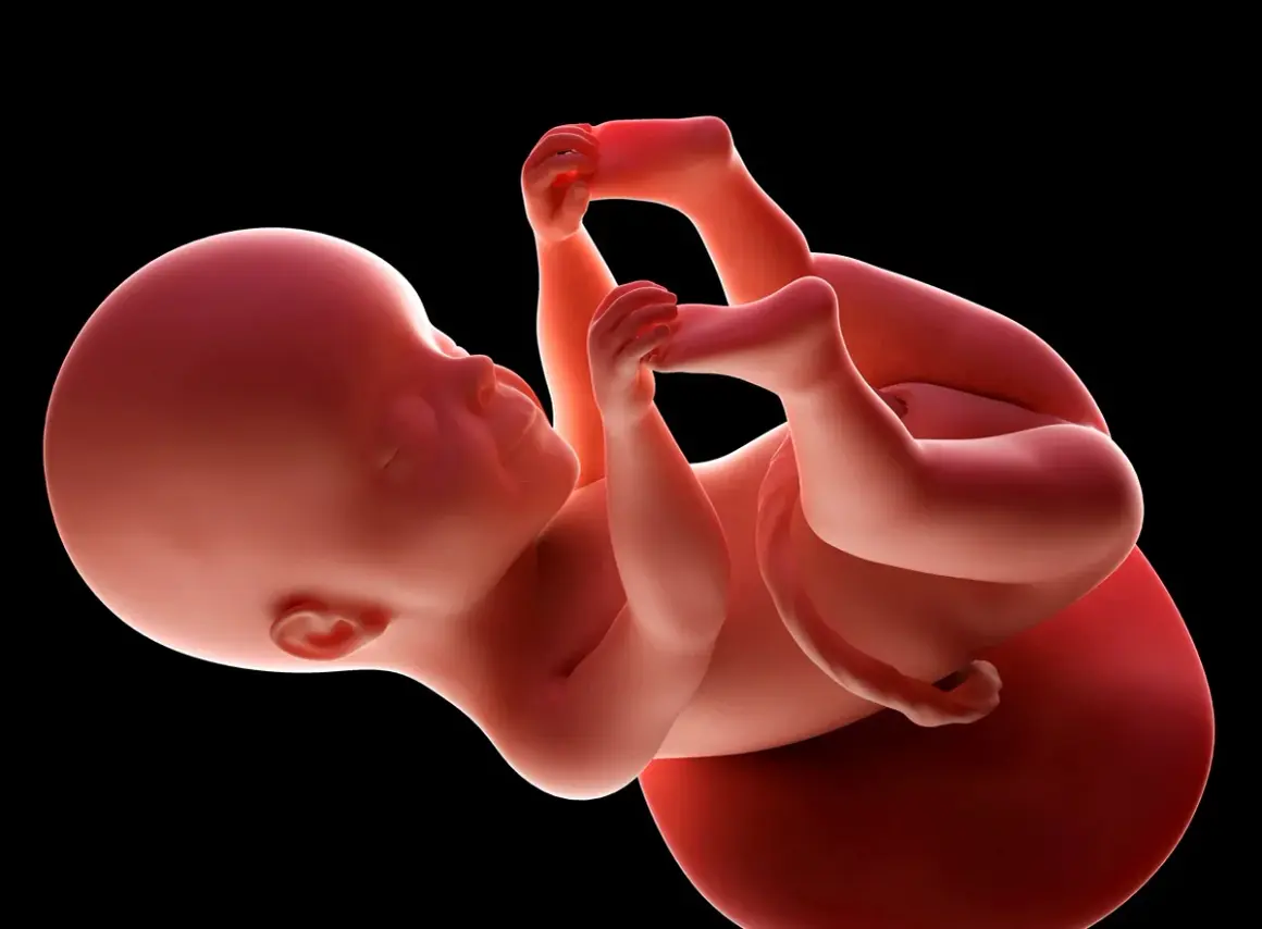 Dziecko w 25 tygodniu ciąży, z dłońmi przy twarzy, rozwija się w łonie matki.