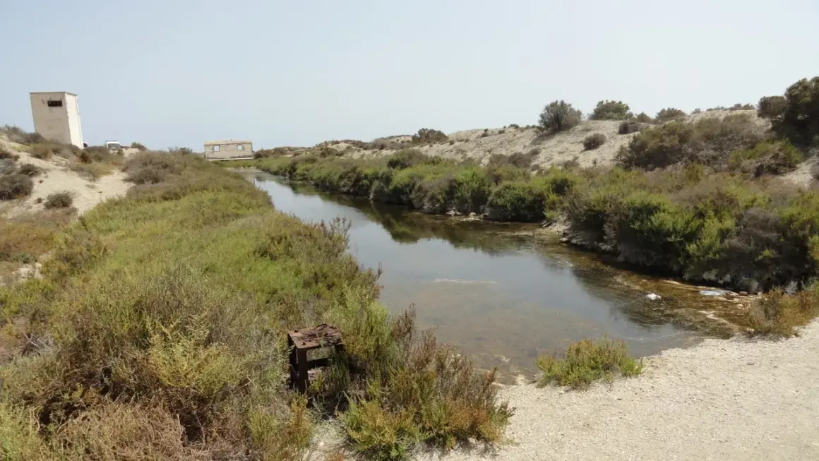 Canal de agua salada rodeado de vegetación en el parque natural Roquetas de Mar. Se aprecian ruinas y un cielo despejado.