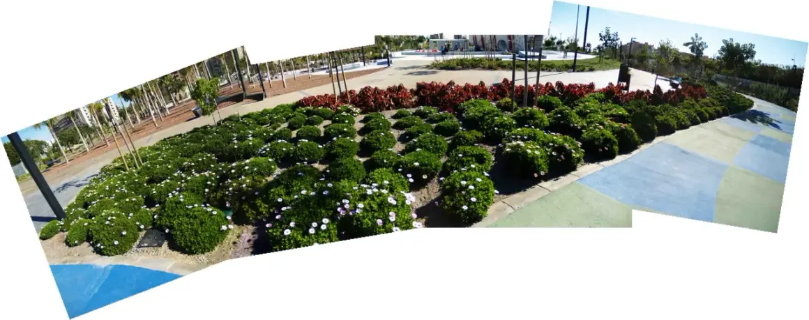 Un paseo por una zona verde en Almería, con arbustos floridos y palmeras.