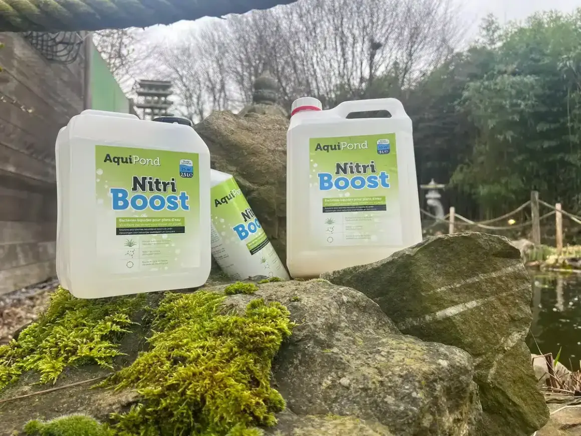 Bouteilles de "Nitri Boost" d'AquiPond, contenant des bactéries bénéfiques pour les plans d'eau, posées sur des rochers moussus près d'un étang.