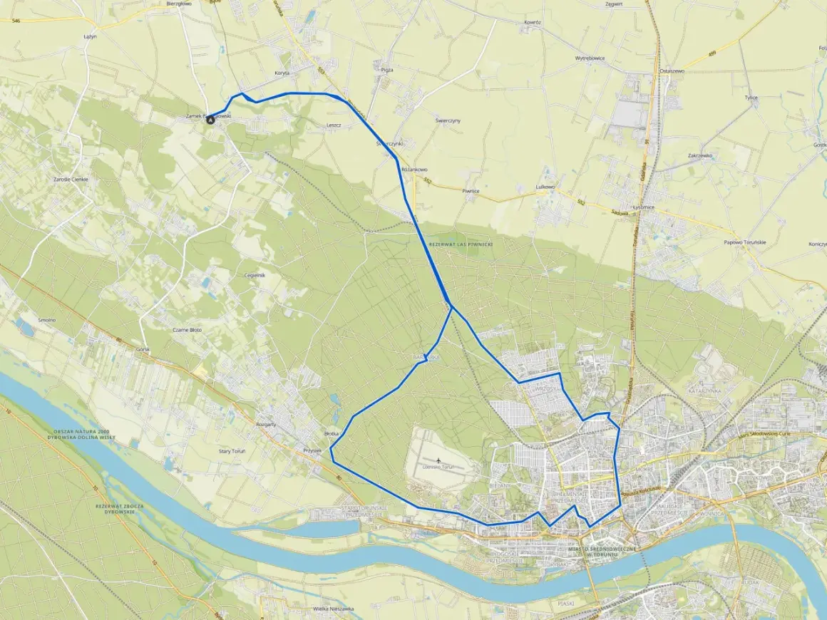 Trasy rowerowe Kujawsko-Pomorskie: malownicza pętla wokół Torunia, przez Zamek Bierzgłowski i rezerwaty.