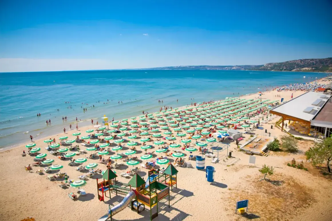 Słoneczna plaża w Złote Piaski pełna leżaków i parasoli, z ludźmi kąpiącymi się w morzu i bawiącymi na placu zabaw.