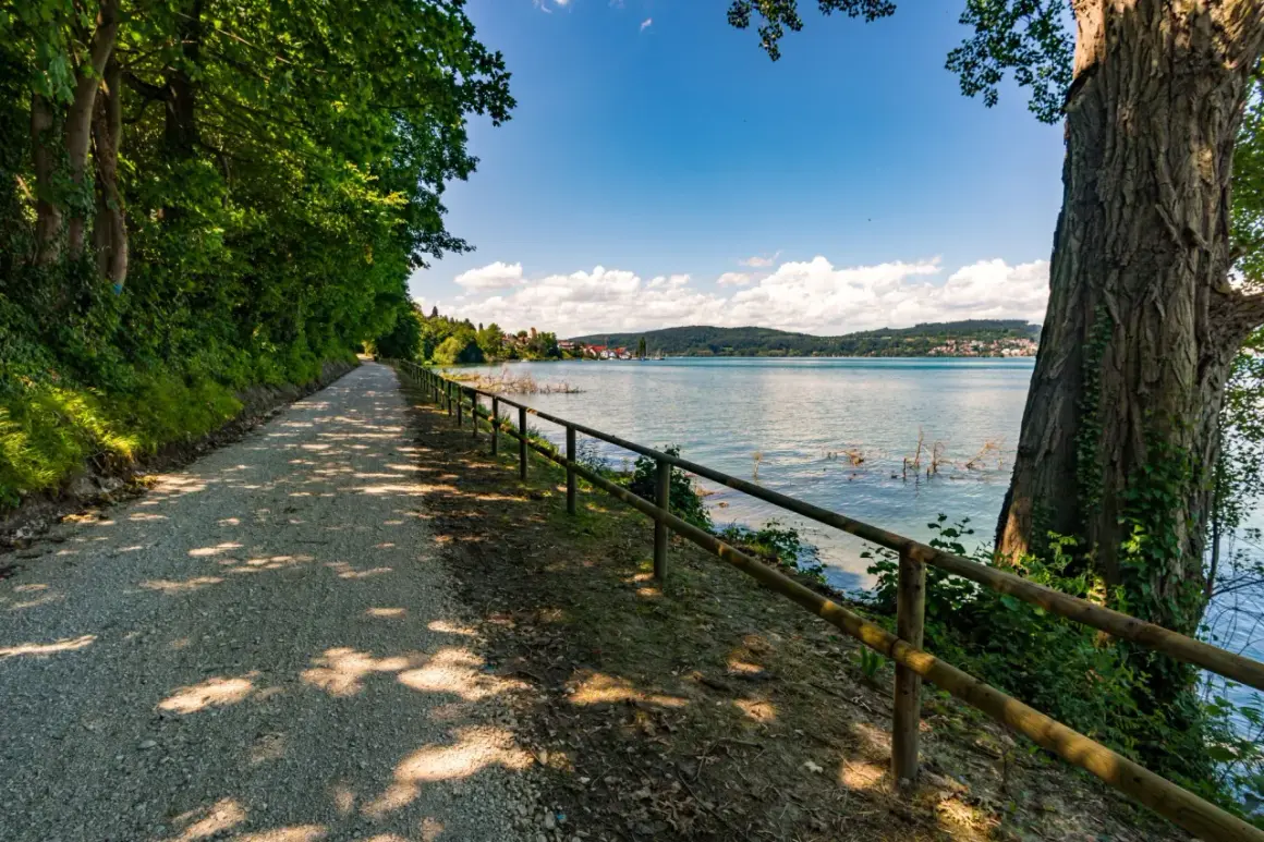 Schattenreicher Weg am Bodensee, ideal zum Wandern. Bäume säumen den Kiesweg, der zum glitzernden Wasser führt.