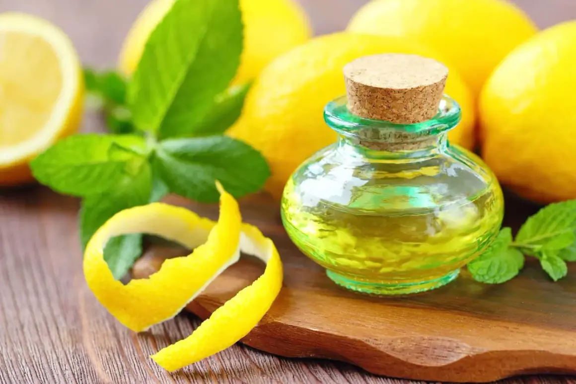Olio essenziale di limone in una bottiglietta, con scorze di limone e foglie di menta. Il limonene cos'è? È il componente principale di questo olio profumato.