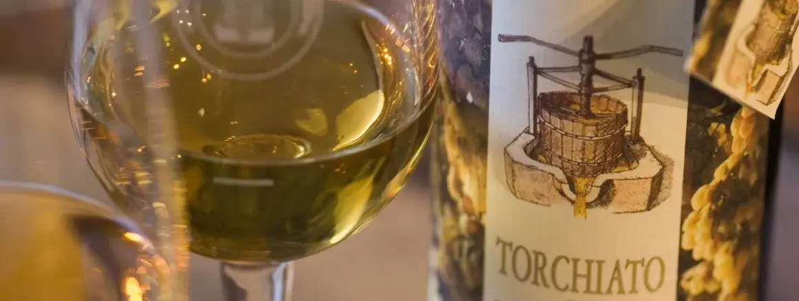 Calice di vino bianco dorato accanto a una bottiglia con etichetta che raffigura un torchio e grappoli d'uva, evocando il sapore del torchiato di fregona.