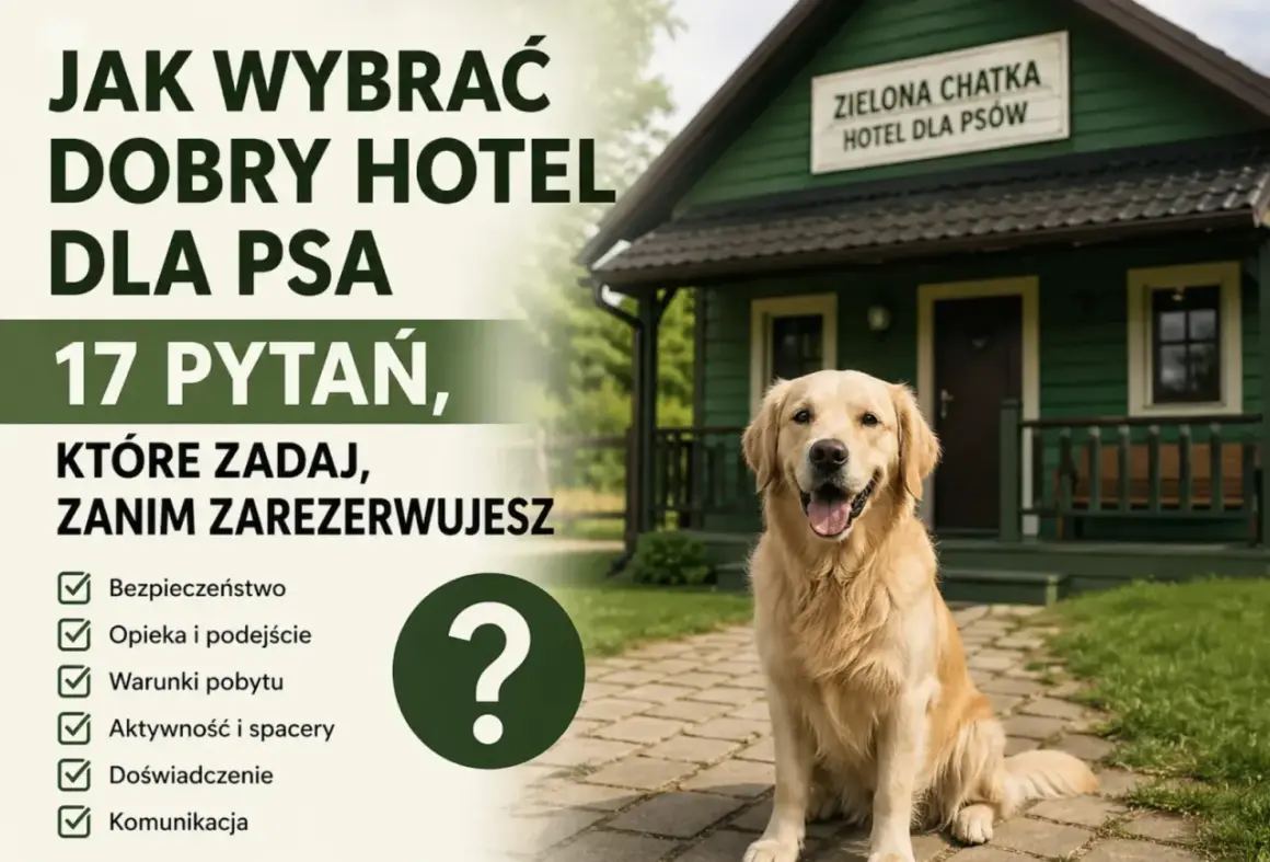 Złoty retriever przed zielonym budynkiem z napisem "Zielona Chatka Hotel dla Psów". Obrazek podpowiada, jak wygląda hotel dla psów i jakie pytania zadać przed rezerwacją.