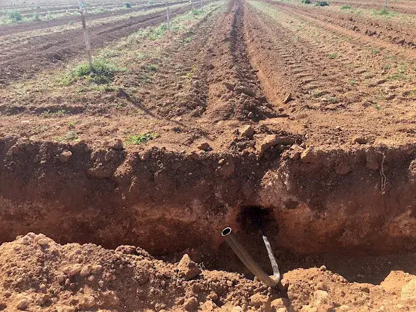 Riego por goteo subterráneo: mejora la eficiencia del agua y cultivos