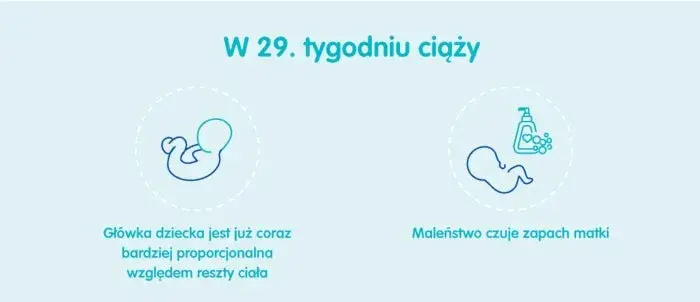29 tydzień ciąży - w jakim miesiącu jesteś i co cię czeka?
