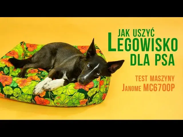 Jak uszyć legowisko dla psa? Krok po kroku do komfortu i oszczędności