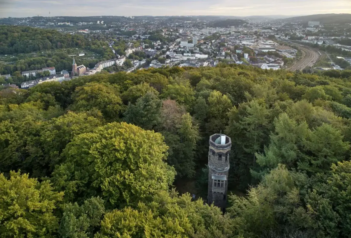 Der von der Heydt Turm ragt aus einem dichten grünen Wald hervor, mit einer Stadt im Hintergrund.