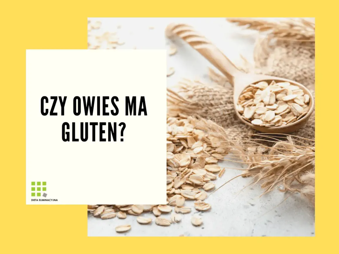 Płatki owsiane na łyżce i kłosy zbóż. Czy owies ma gluten? Pytanie o zawartość glutenu w owsie.