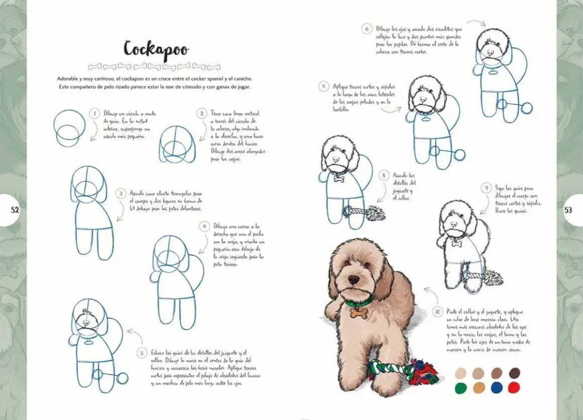 Dibujos de perros: tutorial paso a paso para dibujar un cockapoo. ¡Un compañero adorable y juguetón!