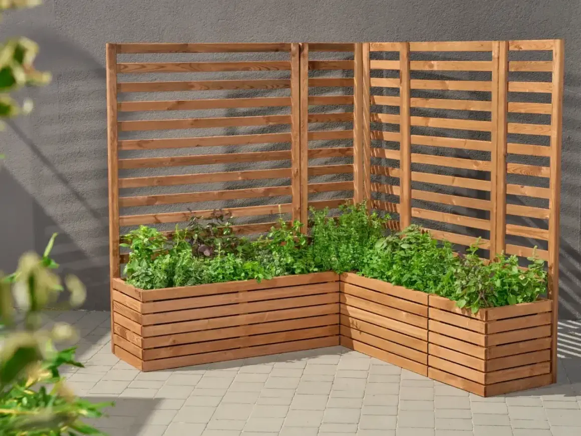 Drewniana pergola z listewek, idealna do stworzenia zielonej ściany z ziołami. Prosty sposób, jak zrobić pergolę z listewek.