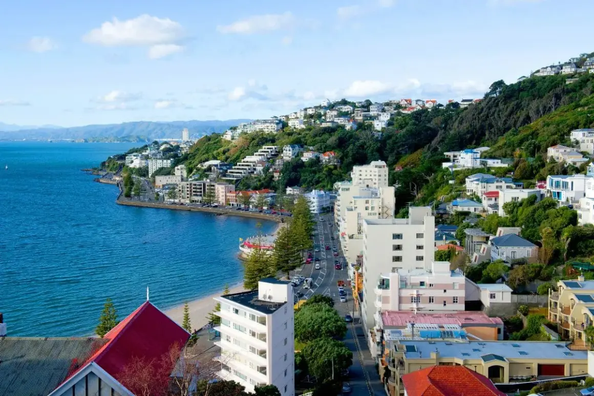 Vista de Wellington, Nueva Zelanda, con casas en la colina y el mar. ¡Un lugar ideal para tu working holiday!