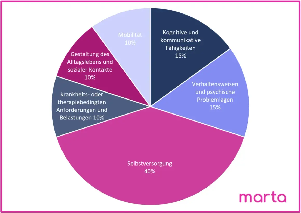Kreisdiagramm zeigt Pflegegrad-Kriterien: Selbstversorgung (40%), kognitive/kommunikative Fähigkeiten (15%), Verhaltensweisen/psychische Problemlagen (15%), Mobilität (10%), Gestaltung Alltag/Kontakte (10%), krankheitsbedingte Anforderungen (10%). Dies...