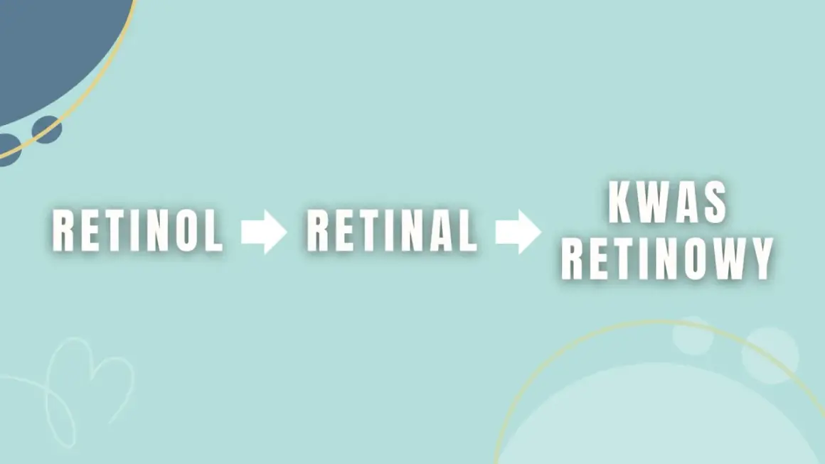 Schemat pokazuje przemianę retinolu w retinal, a następnie w kwas retinowy. To klucz do zrozumienia działania retinoidów w pielęgnacji.